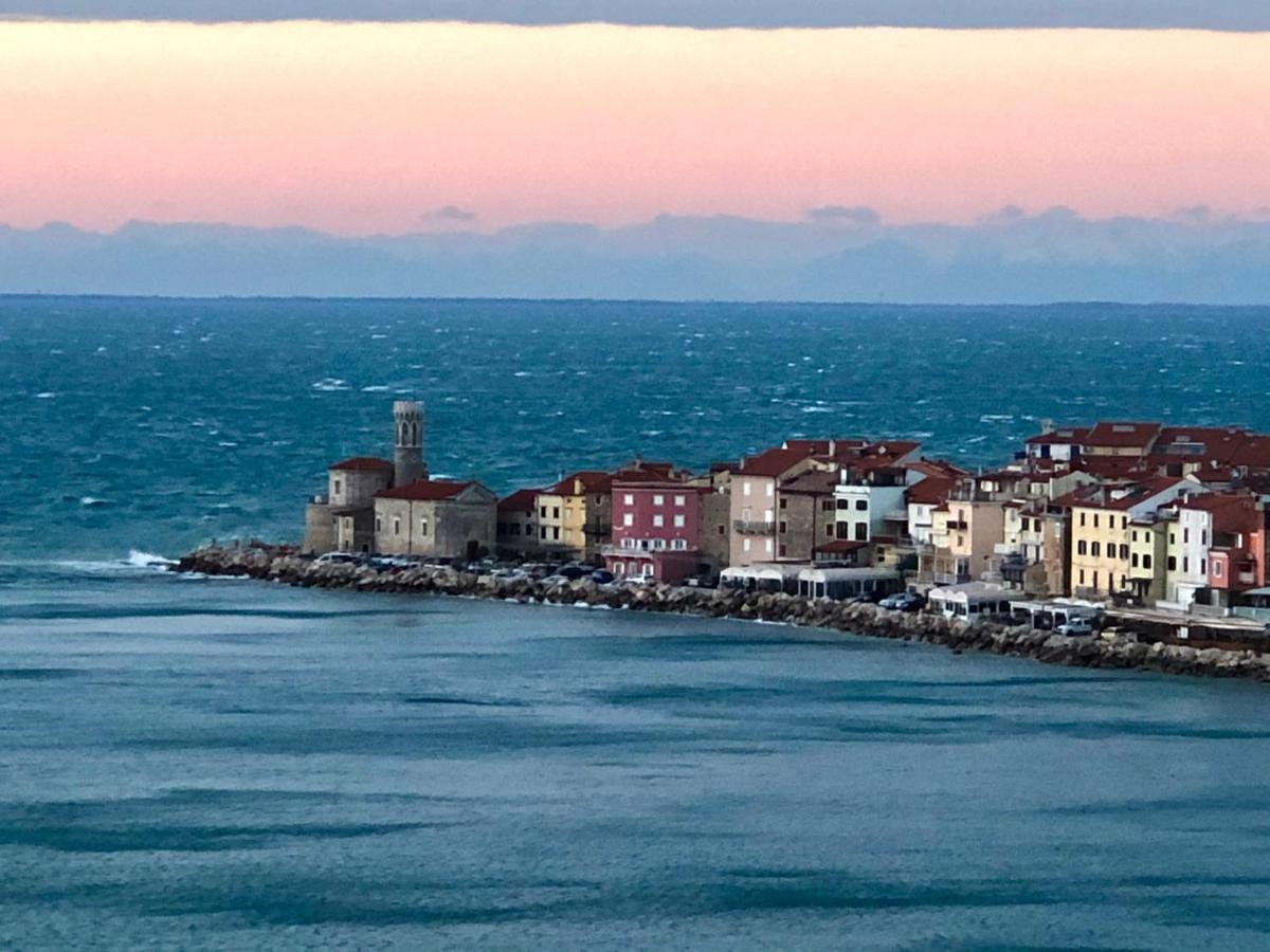 Modrin * Piran