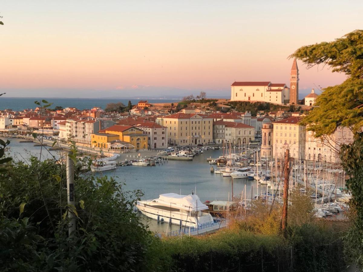 Modrin Apartment Piran