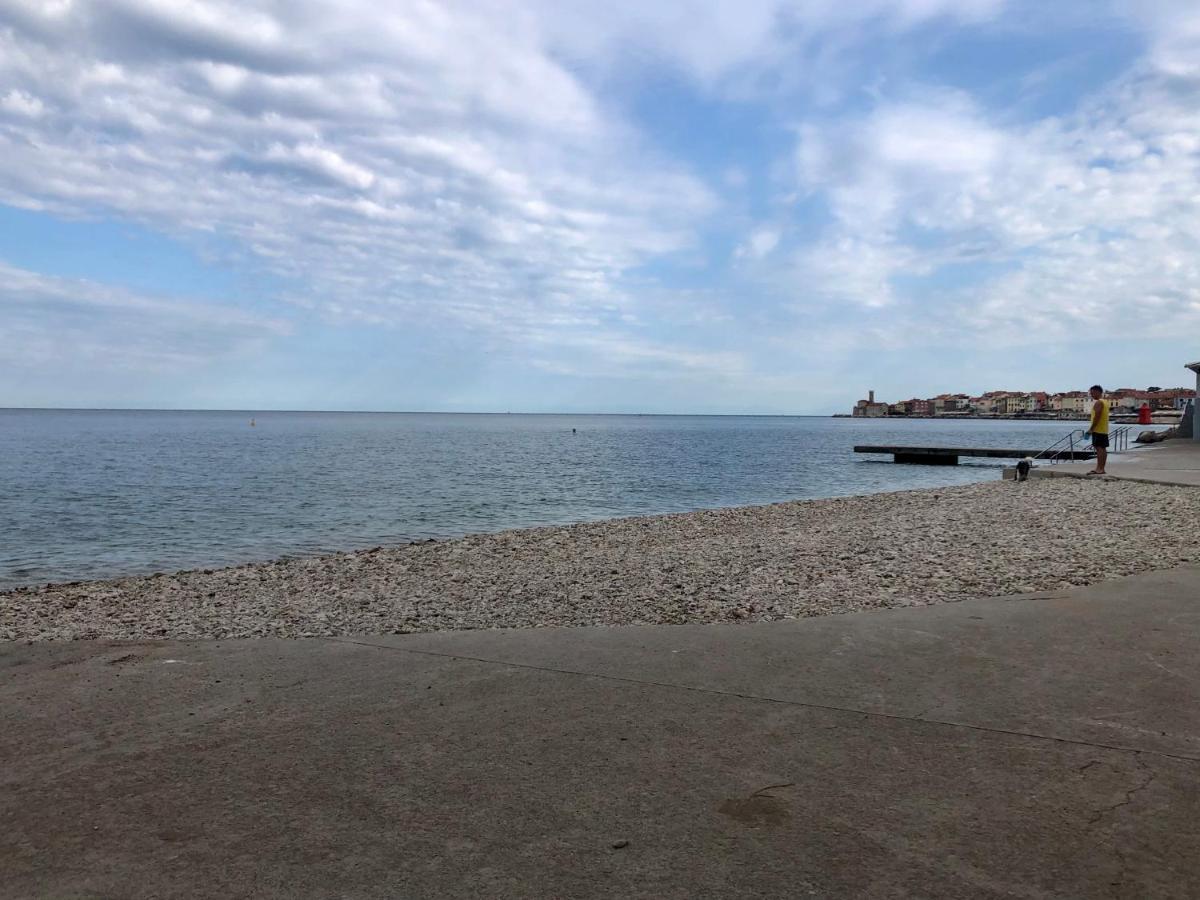 Apartment Modrin Piran