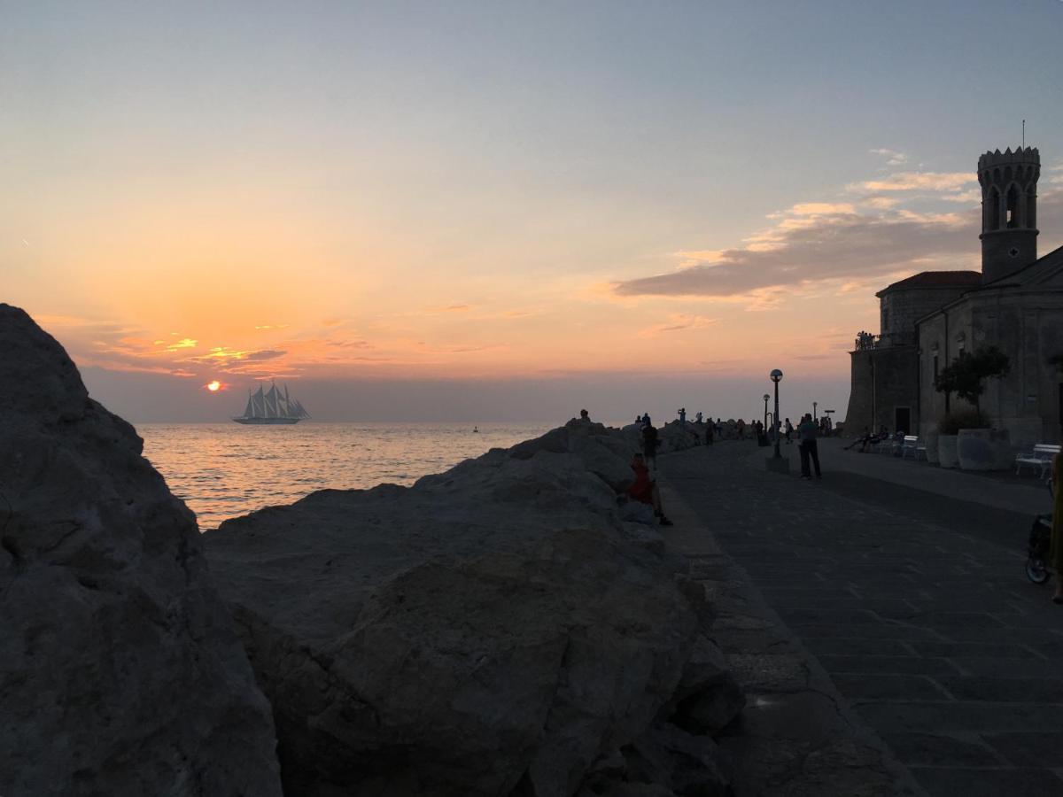 Modrin Piran