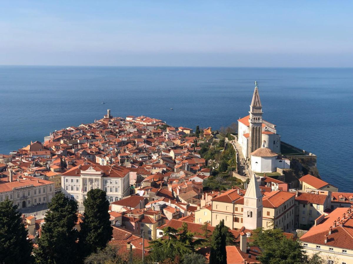 Modrin * Piran