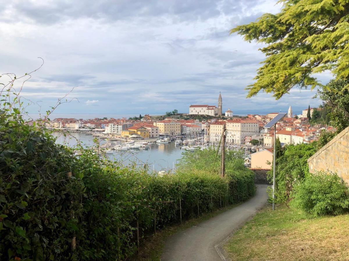 Apartment Modrin Piran
