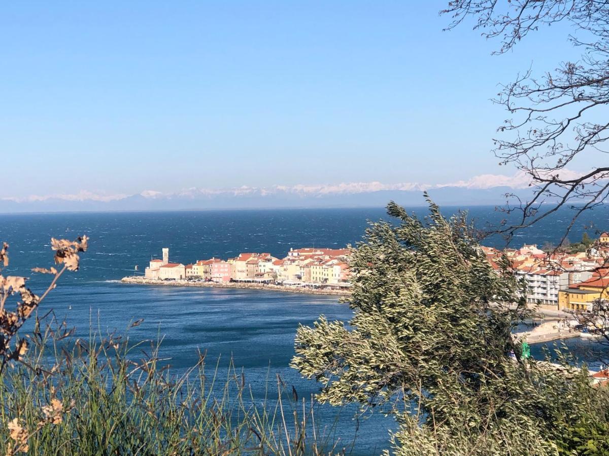 Apartment Modrin Piran