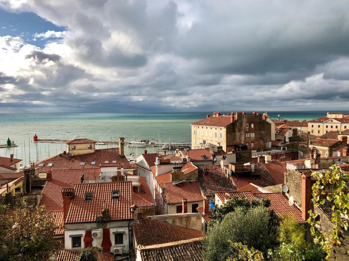 Apartment Modrin Piran