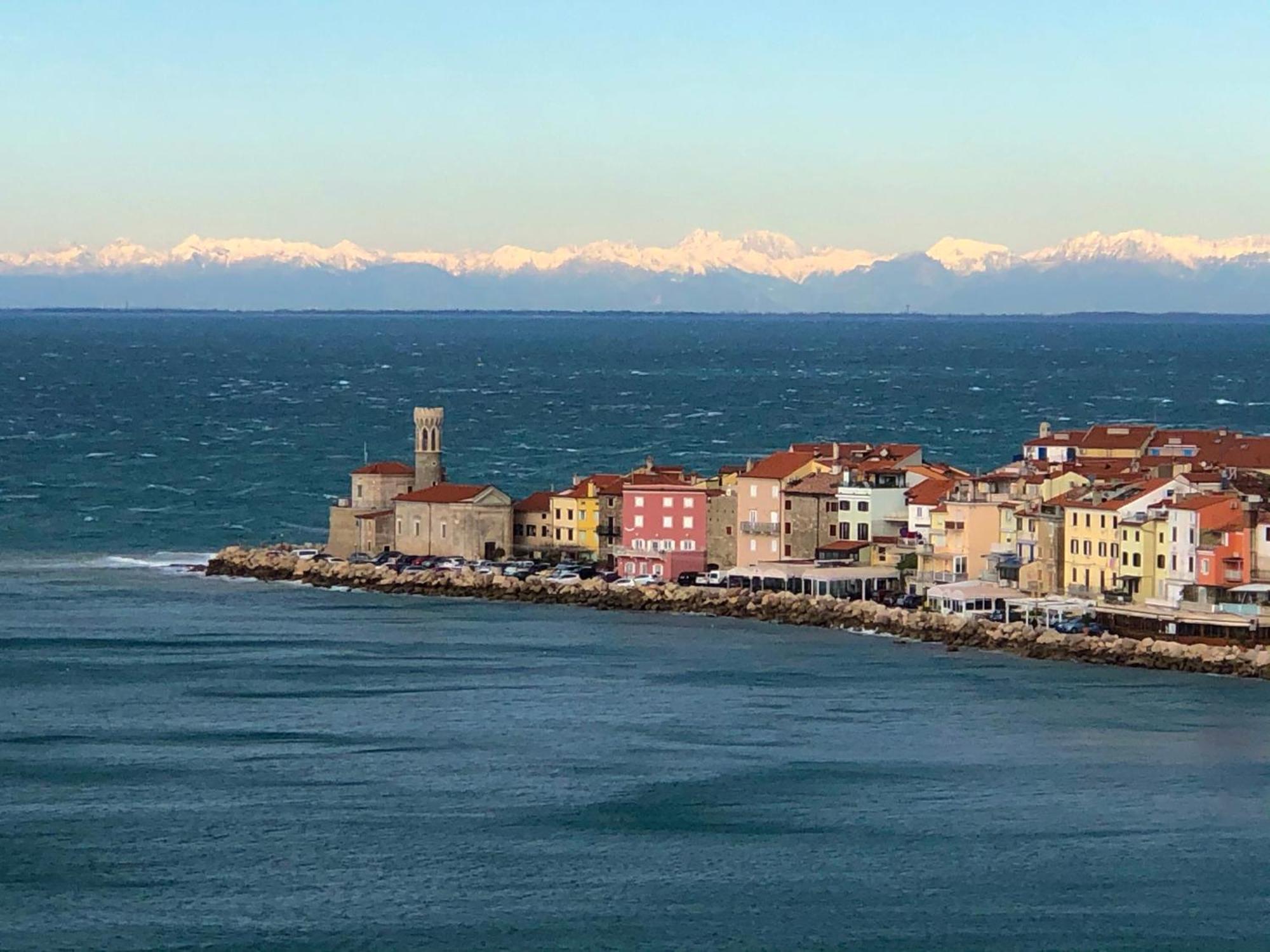 Apartment Modrin Piran
