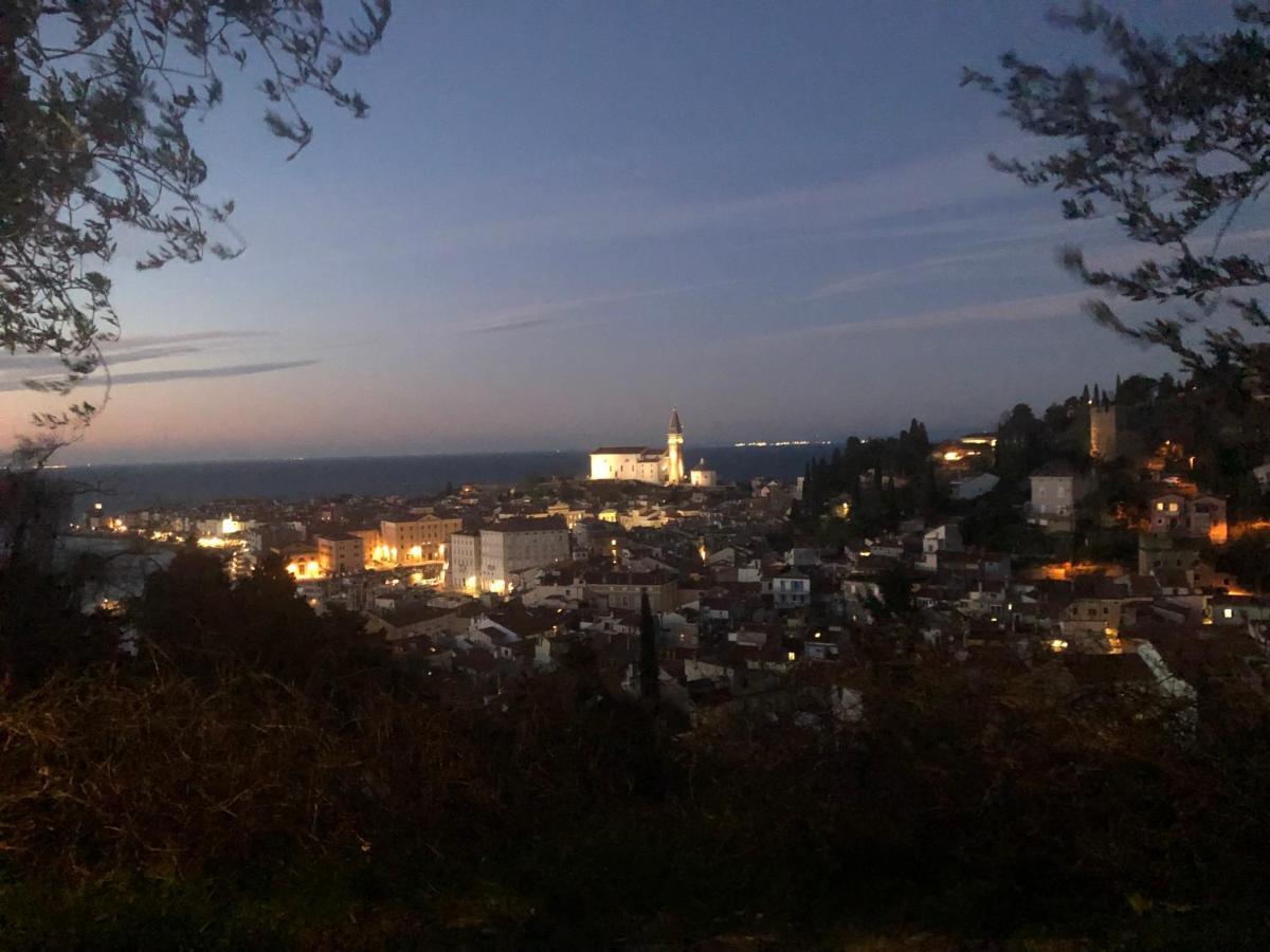 Modrin * Piran