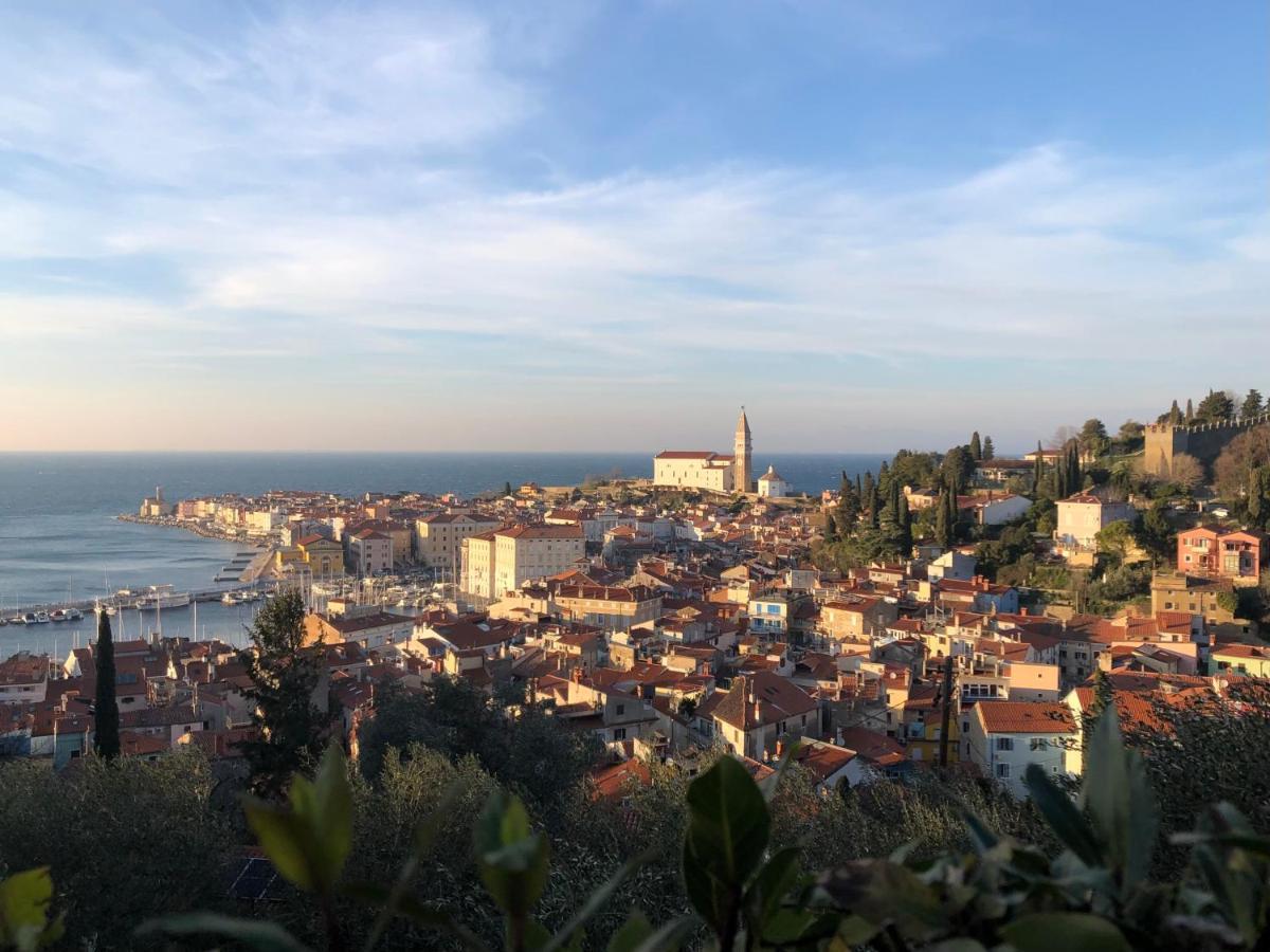 Modrin Piran