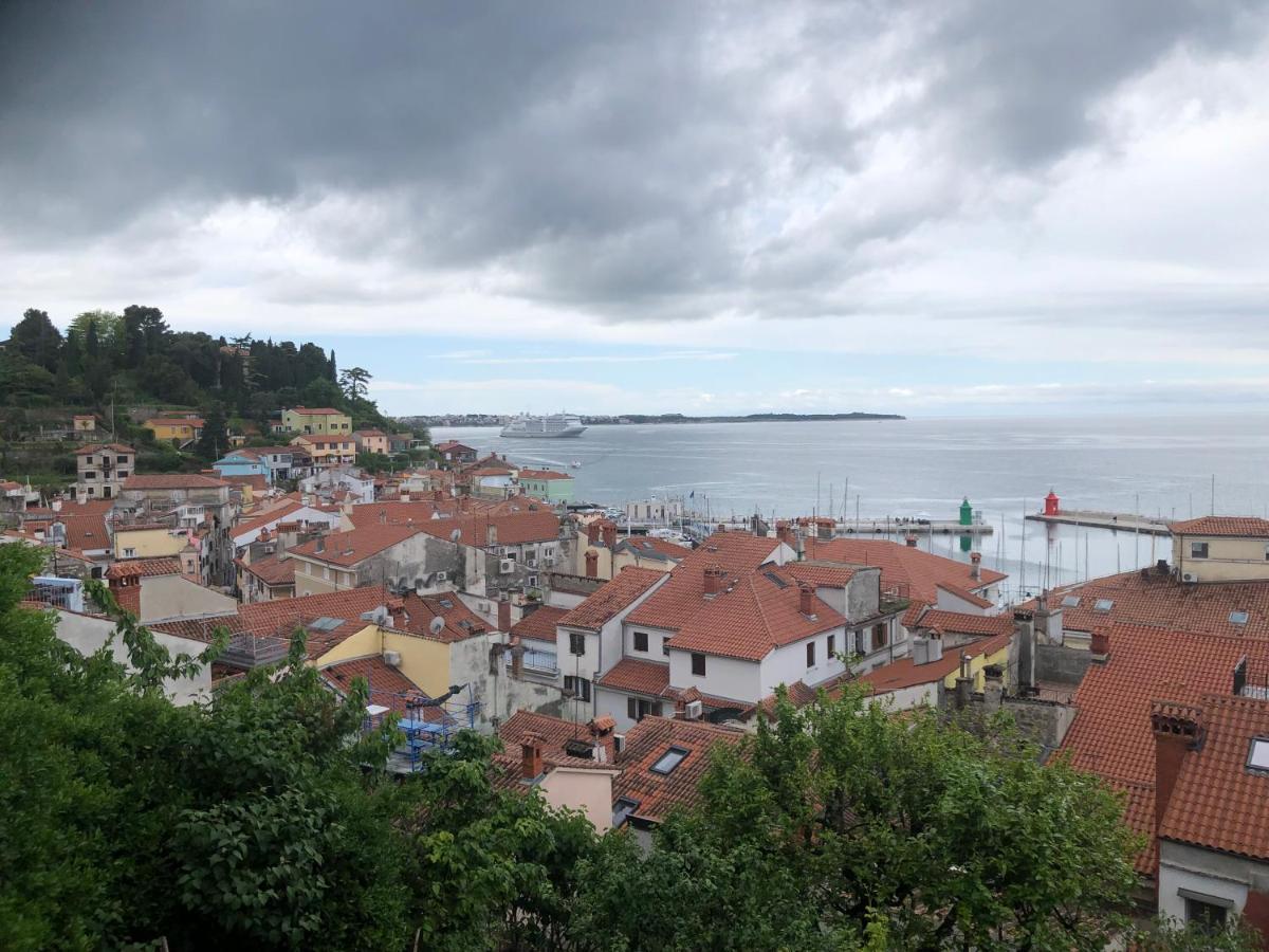 Modrin * Piran